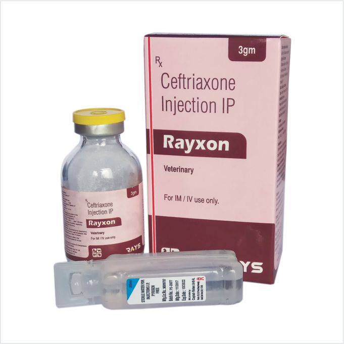 Rayxon